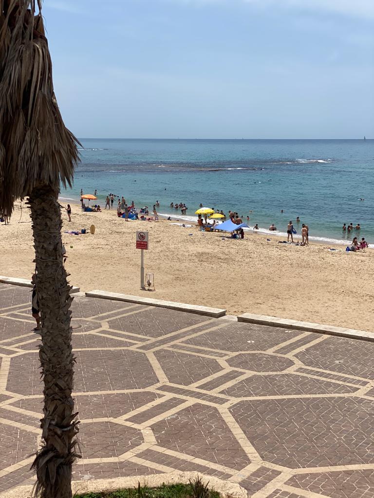 WhatsApp Image 2020-05-16 at 2.54.35 PM.jpeg.jpeg